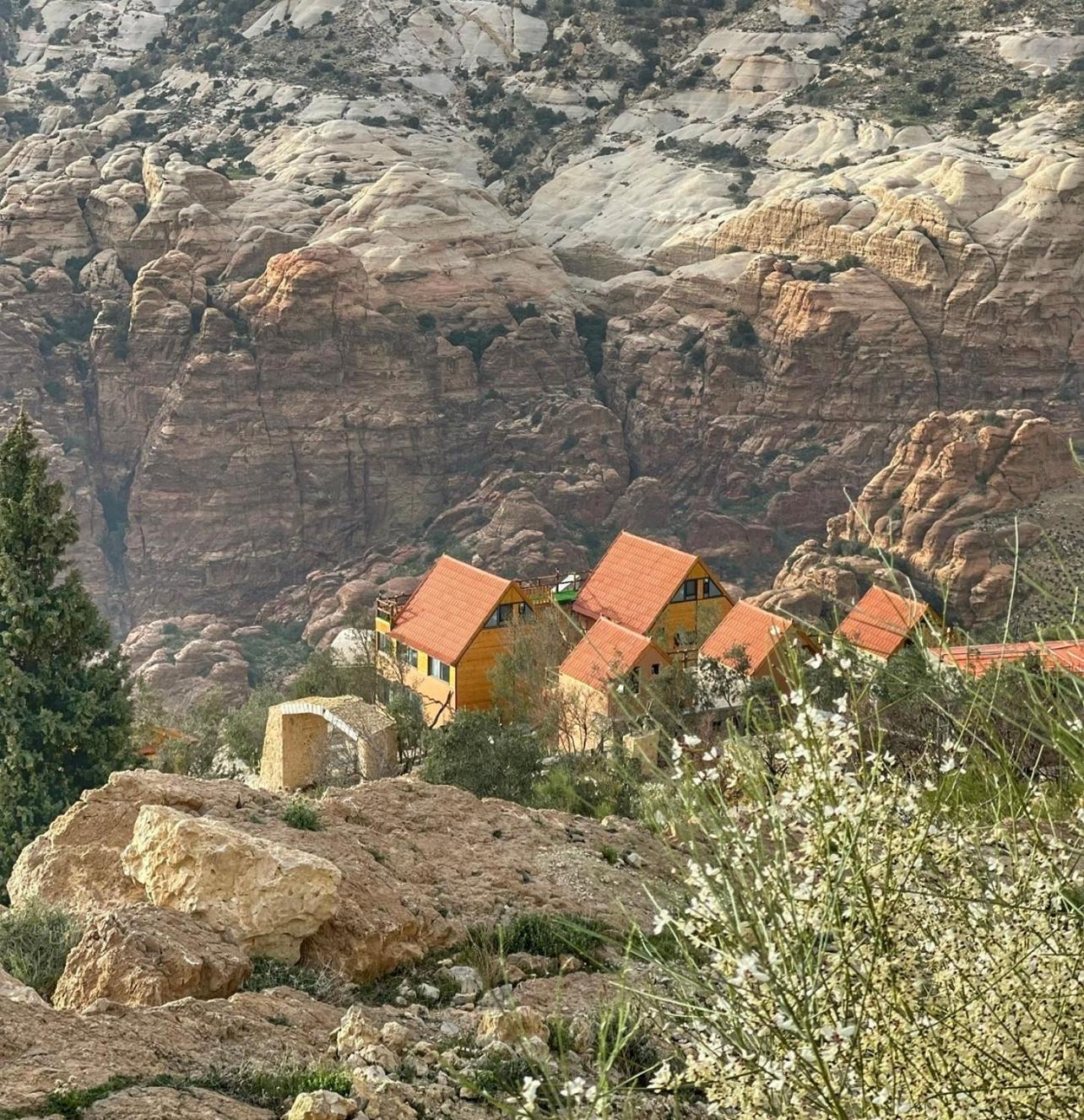 Отель Dana Luxury Huts Экстерьер фото